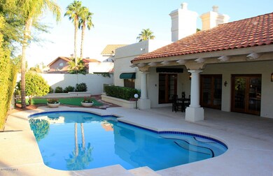 Back yard