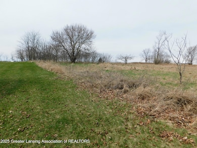 3940 Tuttle Rd, Leslie, MI 49251 - photo 5