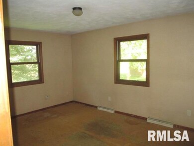 321 Ferry Rd, Geneseo, IL 61254 - photo 2