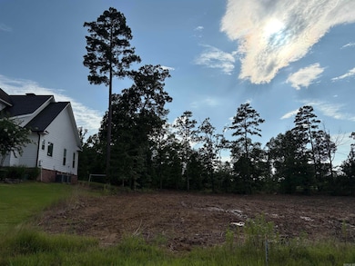 336 Waterview Meadows Ln, Roland, AR 72135 - photo 3