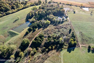 1000 Hazy Downs Rd, Raywick, KY 40060 - photo 3