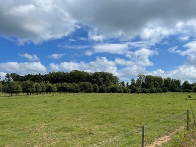 0 New Manchester Hwy, Manchester, TN 37355 - photo 6