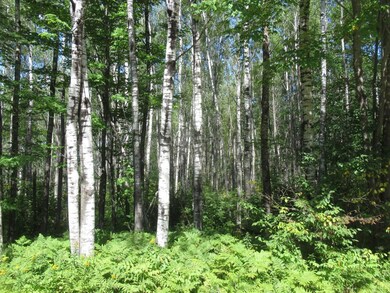 000 Sutherland Rd, Mason, WI 54856 - photo 3