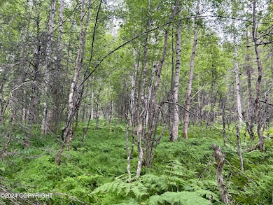 Right before the creek