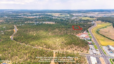 1400 S 11th St, Show Low, AZ 85901 - photo 4