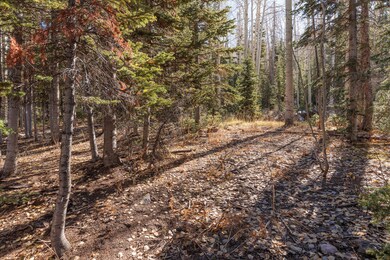 214 East Deer Trail C147 Brain Head UT 8