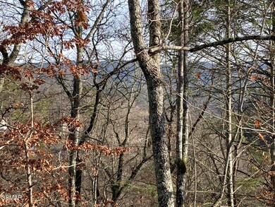Lot 51 Red Cedar Ln, Sevierville, TN 37876 - photo 4