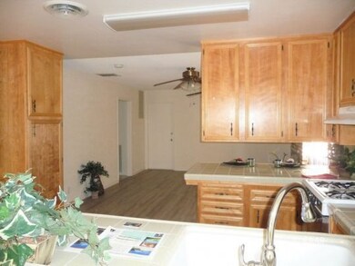 Kitchen/dining/living