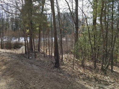 8821 30th Ave, Merrill Township, MI 49309 - photo 2