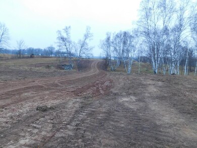 15370 Mallard Rd, Mission Creek Township, MN 55007 - photo 7