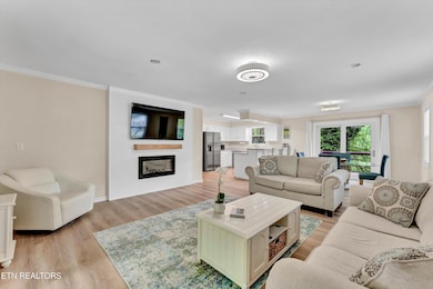 Modern Fireplace
