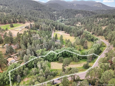 5411 Parmalee Gulch Rd, Indian Hills, CO 80454 - photo 2