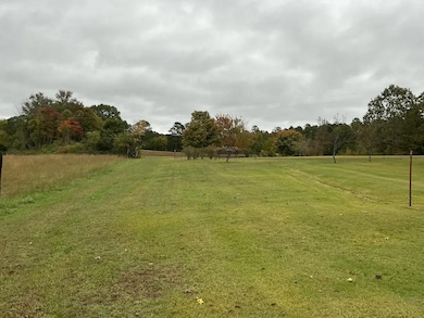 3637 Round Spring Rd, Clinton, AR 72031 - photo 4