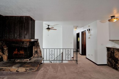 Wood Burning Fireplace