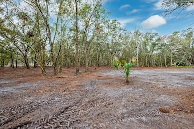 Back of property looking forward