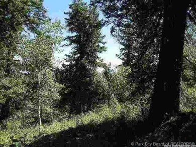 Land/Lot.