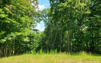 Additional View