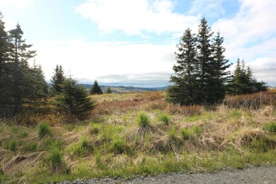 34371 Bluegrass St, Anchor Point, AK 99556 - photo 4