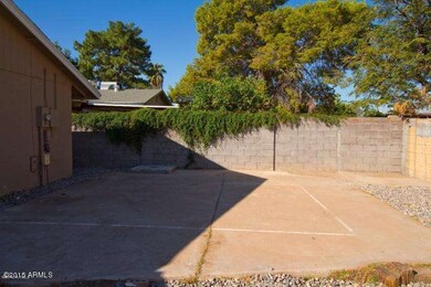 backyard.jpg