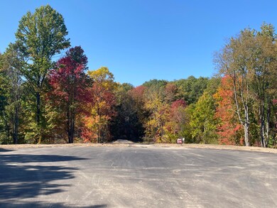 Whitetail Lane Photo 0