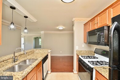 14162 Cuddy Loop unit 201, Woodbridge, VA 22193 - photo 7