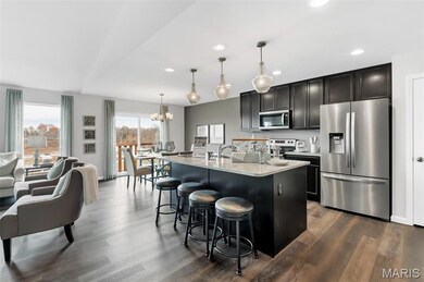 Kitchen featuring dark cabinets, stainless steel appliances, a chandelier, hanging light fixtures, and dark wood-style flooring