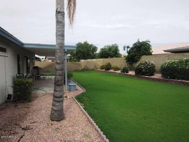 Great Backyard
