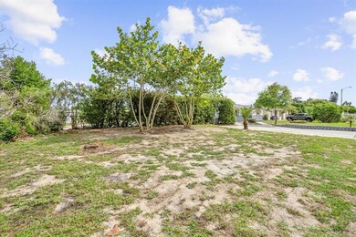 4735 Trafford Rd, Holiday, FL 34690 - photo 4