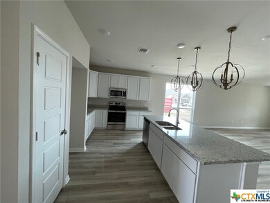 1893 Longmire Loop, Temple, TX 76502 - photo 3