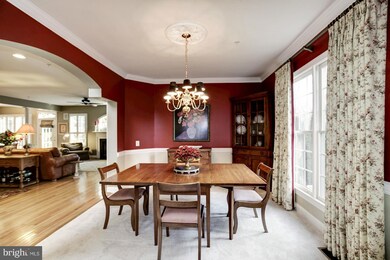 6811 Moly Dr, Falls Church, VA 22046 - photo 5