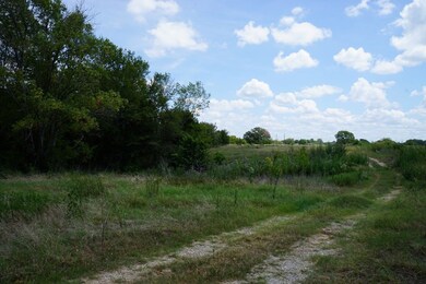 01 Cr 1200, Crossroads, TX 75148 - photo 3