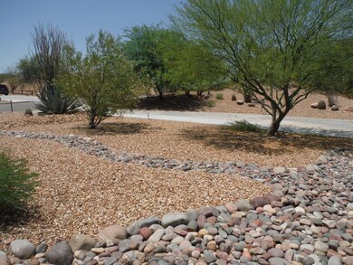 Desert Landscaping