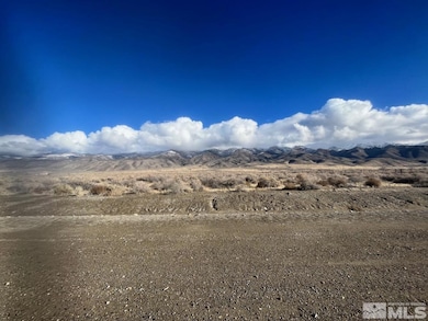 22120 Summerview Dr, Lovelock, NV 89419 - photo 5