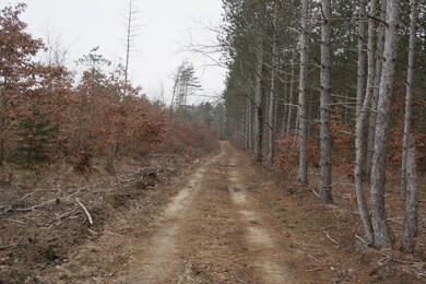 SAM_2203