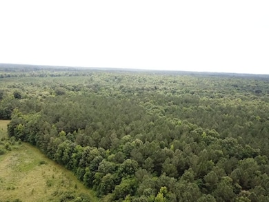 00 Red Bud Rd, Castalia, NC 27816 - photo 6