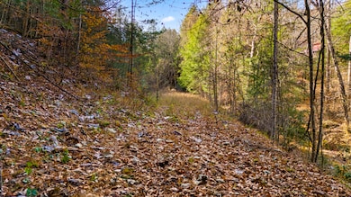 0 Cr-1039, Beattyville, KY 41311 - photo 3