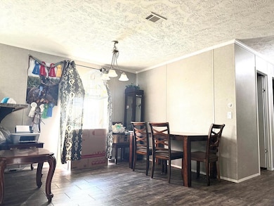 120 Elizabeth Church Rd, Hazlehurst, GA 31539 - photo 7