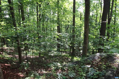 680 Crawfords Climb, Nellysford, VA 22958 - photo 3