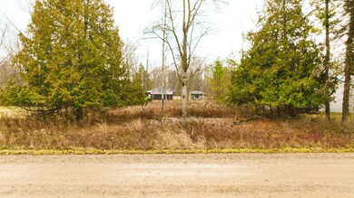 8097 Lakeview Dr, Vernon Township, MI 48617 - photo 2