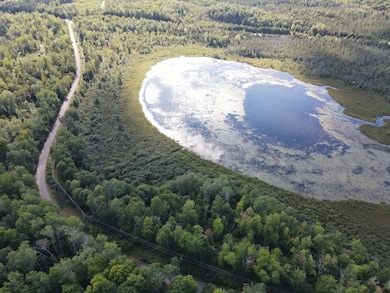 0 Thelen Rd, Riverview, WI 54149 - photo 5