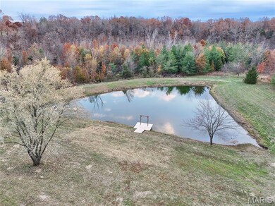 467 Pcr 704, Perryville, MO 63775 - photo 4