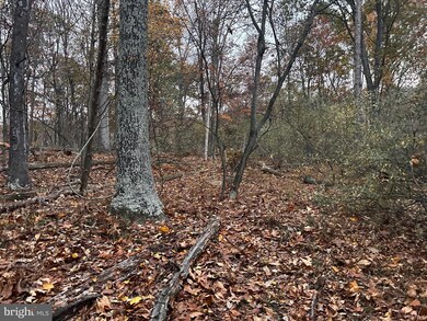 Lot 40 Prado Way, Berkeley Springs, WV 25411 - photo 3