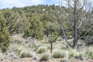6-web-or-mls-DSC_1456