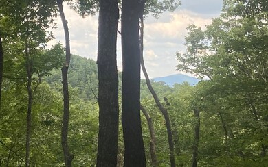Additional View