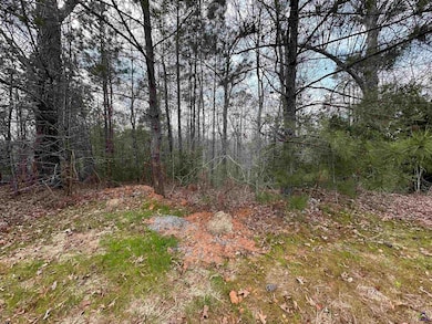 322 Wilsons Creek Bend, Bonaire, GA 31005 - photo 2