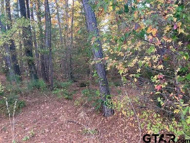 1657 Pineview Ln, Hideaway, TX 75771 - photo 5