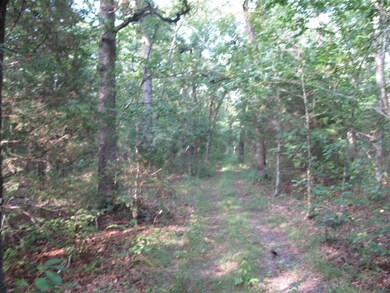 IMG_1357 (Large)