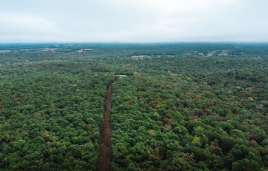 DJI_0837
