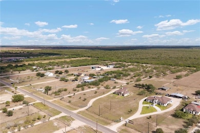 25356 Brushline Rd, Edinburg, TX 78542 - photo 4