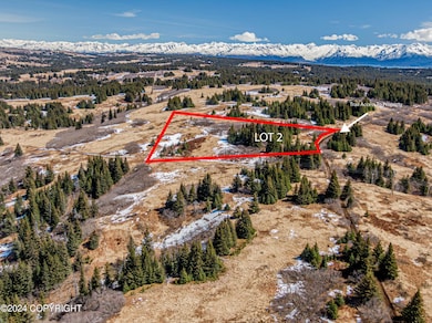 L2 Salin's Spur Rd, Homer, AK 99603 - photo 3